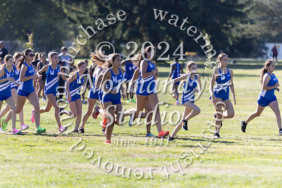 WHS_cc-g_03
