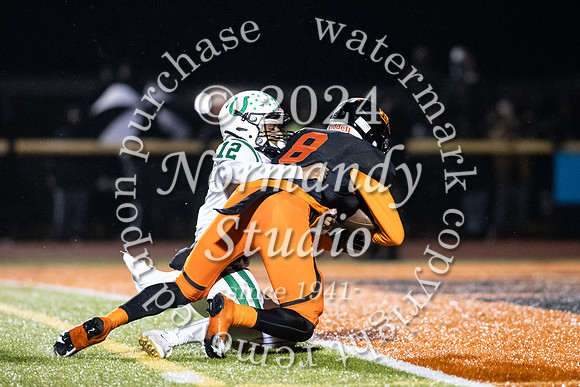 SVL_fb_39