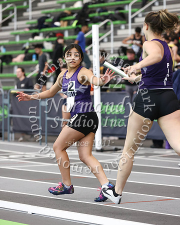 TOT_wt-g_17