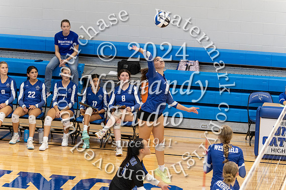 WHS_vb-g_24