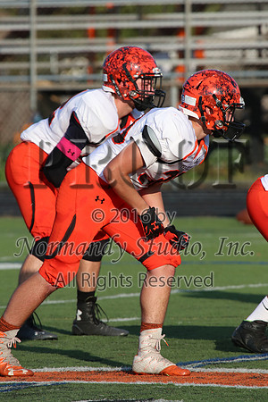 SVL_fb-j_033