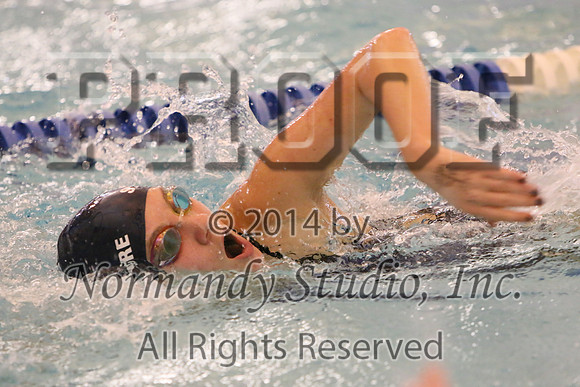 WMC_200_sw-g