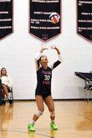 MSM_vb-g_19