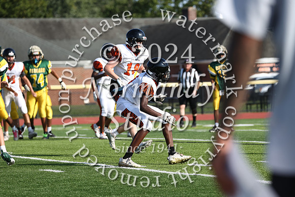 SVL_fb-f_59