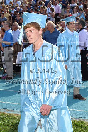 WMC_100_gradcandids_pt