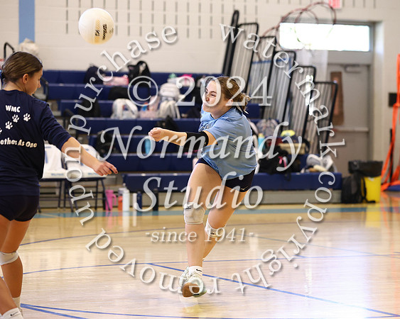 WMC_vb-g_12