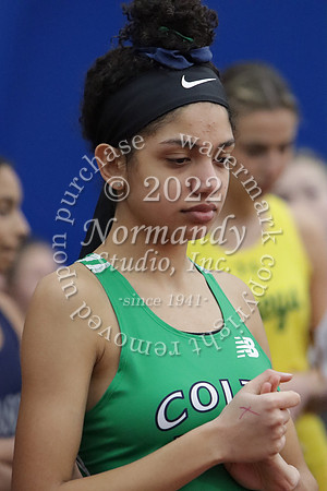 CNH_06_wt-g
