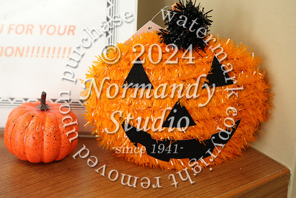 BER_halloween_012