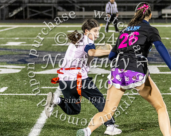 ALJ_powderpuff_59