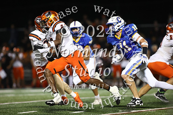 SVL_fb_12