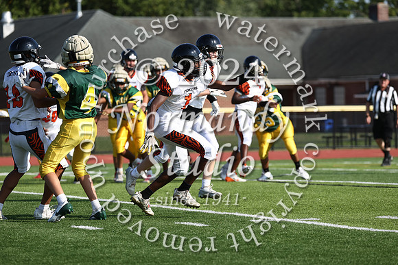 SVL_fb-f_58