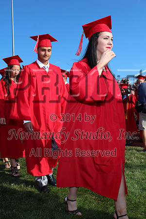 LIB_050_gradcandids
