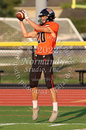SVL_fb_29