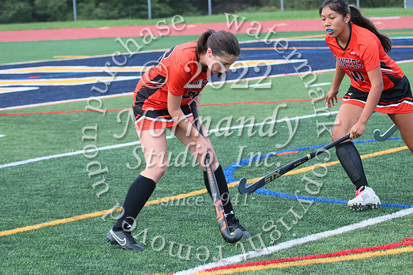 SVL_fh-j_41