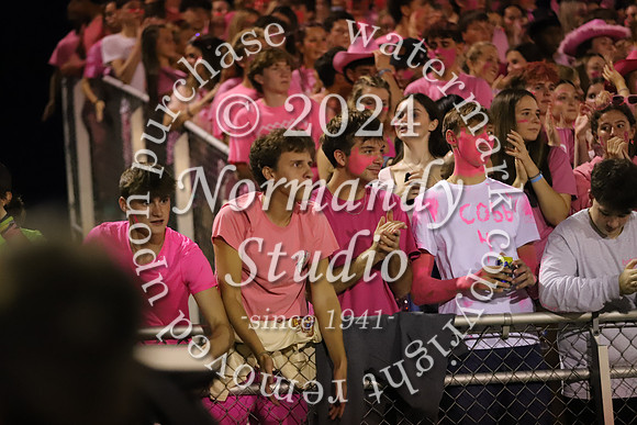 DVH_fans_41