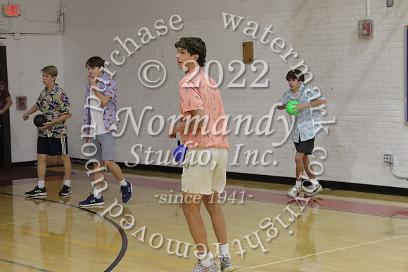 BER_dodgeball_060