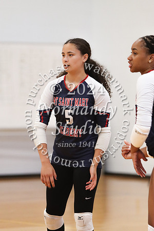 MSM_vb-g_52