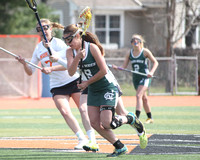 VAR ACTION 4-13-17