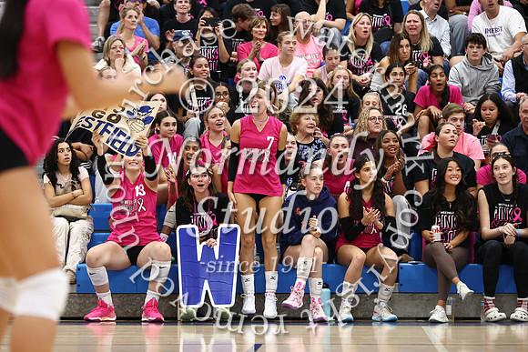 WHS_vb-pink out_56