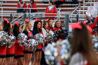LIB_hc game_20