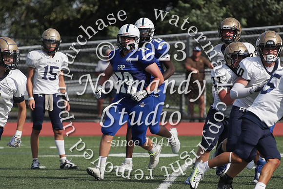 SHP_fb-f_15