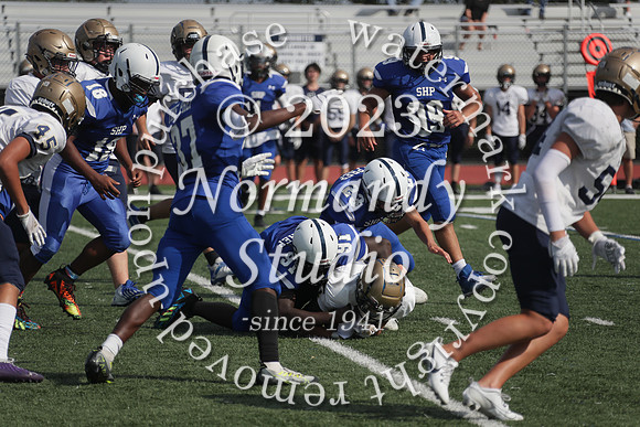 SHP_fb-f_16