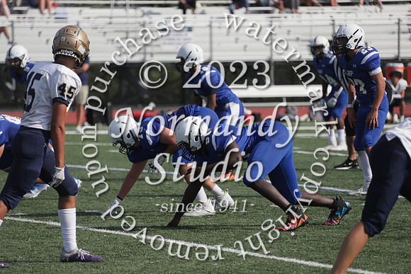 SHP_fb-f_17
