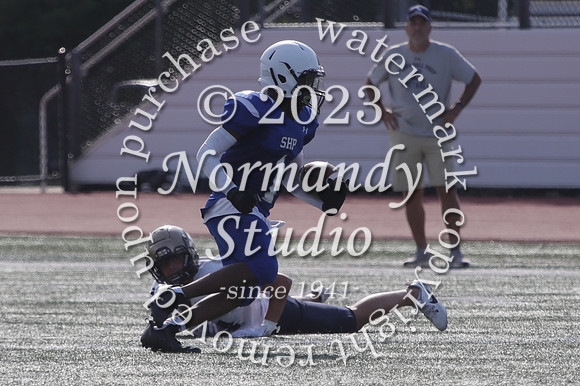 SHP_fb-f_31