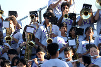 MON_mb_18
