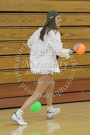 BER_dodgeball_050