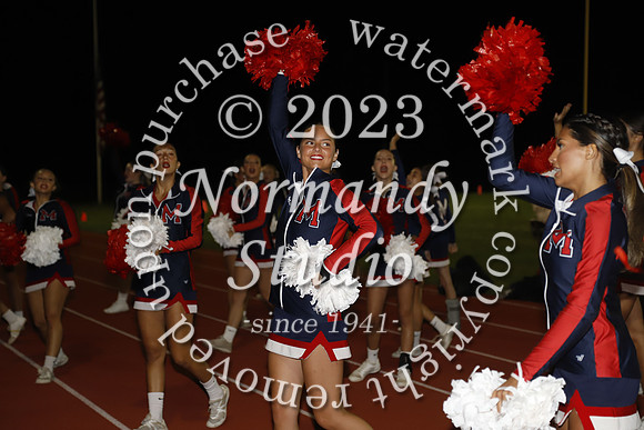 MNP_ch_12
