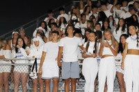 MNP_fans_10
