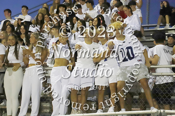 MNP_fans_09