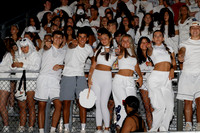 MNP_fans_11