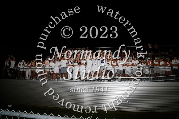 MNP_fans_21