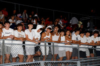 MNP_fans_01