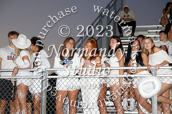 MNP_fans_03
