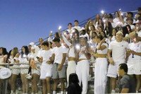 MNP_fans_06
