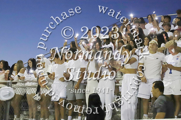 MNP_fans_06