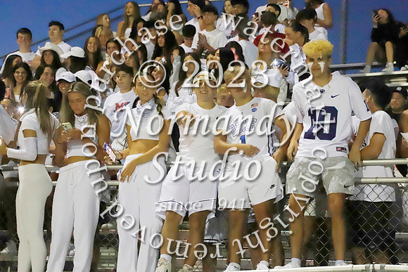 MNP_fans_07