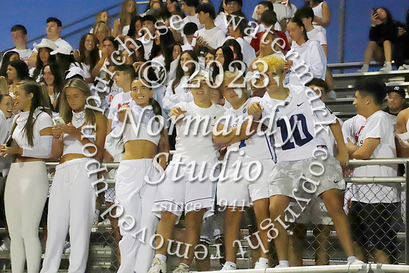 MNP_fans_08