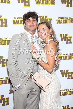 WTG_sr_prom_065