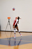 MSM_vb-g_24