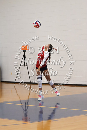 MSM_vb-g_24