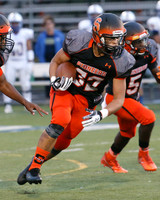 SVL_15_fb