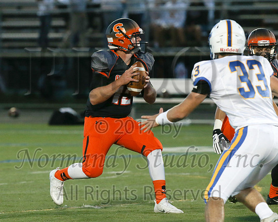 SVL_38_fb