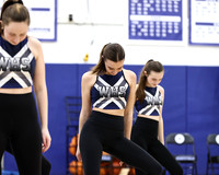 WHS_dt_017