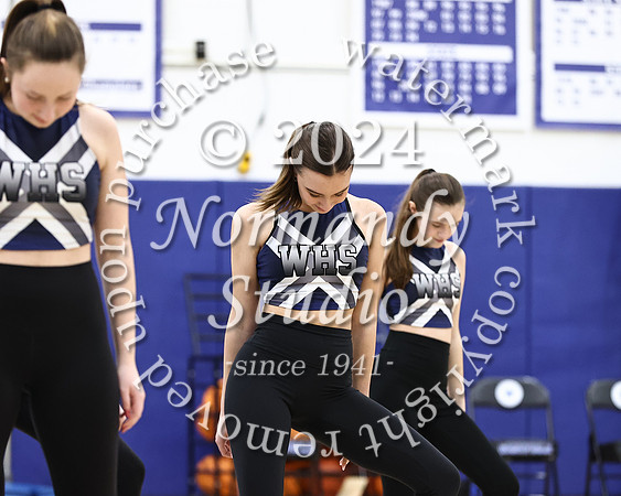 WHS_dt_017
