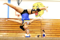 GYMNASTICS