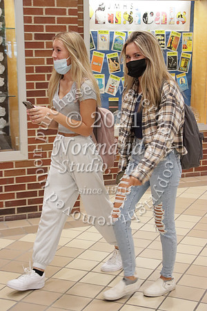 JAC_393_slc